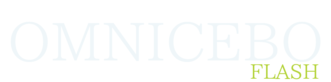 OMNICEBOFLASH